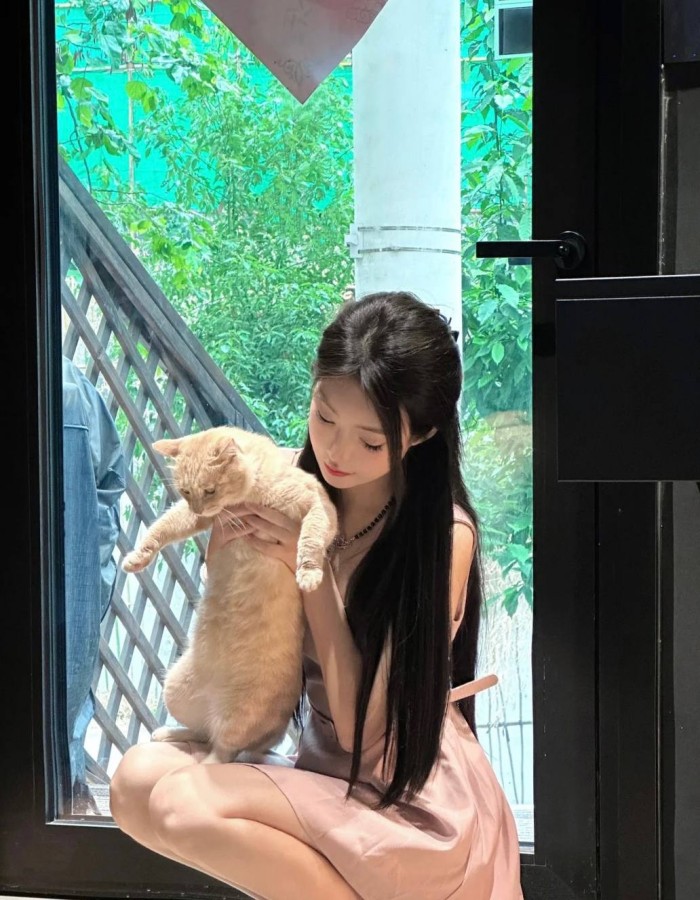 三年成全免费观看大全在线观看,最新好看的经典电影在线观看